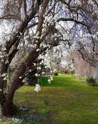  Maison � vendre 2 pi�ces 72 m�