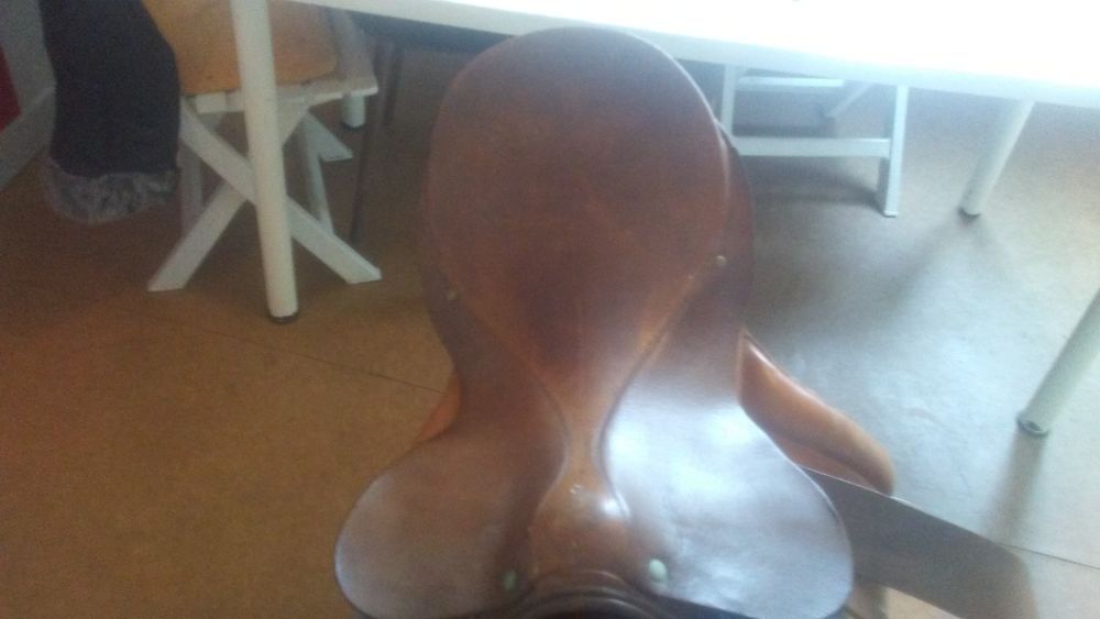 Selle de cheval Sports