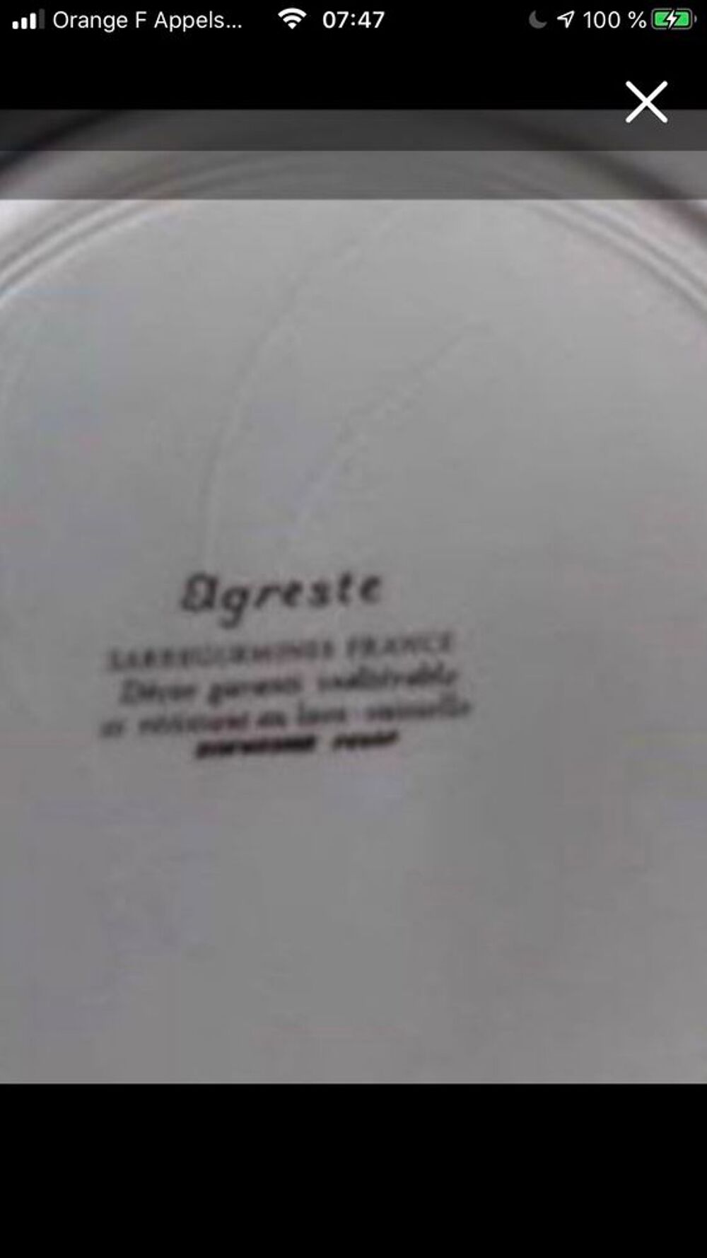 service de table SARREGUEMINES Décoration