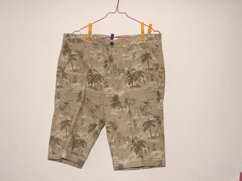 Bermuda 15 Strasbourg (67)