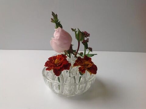 Pique fleurs en verre transparent. 19 trous 18 Saint-Jean-du-Cardonnay (76)