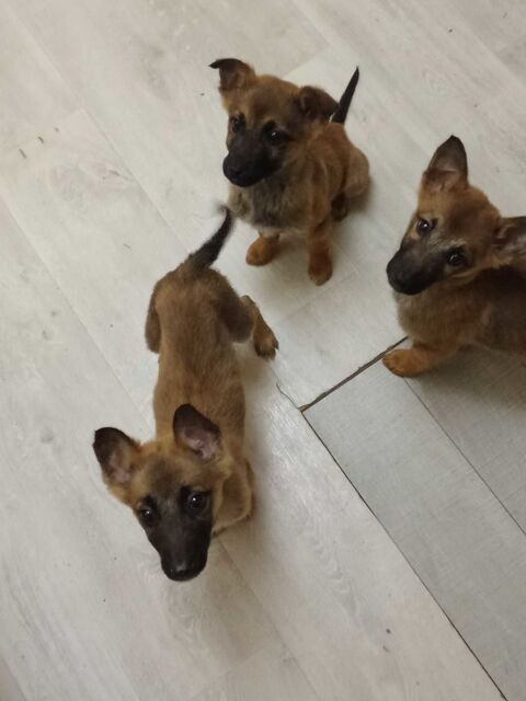 armoire Les Pennes-Mirabeau (13)