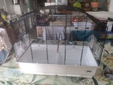   Cage oiseaux Canto  