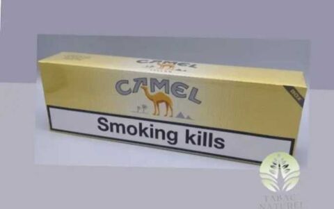 bote   paquet de cigarette (10paquets) 90 Le Puy-en-Velay (43)