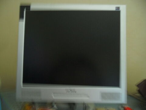 cran ordinateur 30 Beaupuy (31)