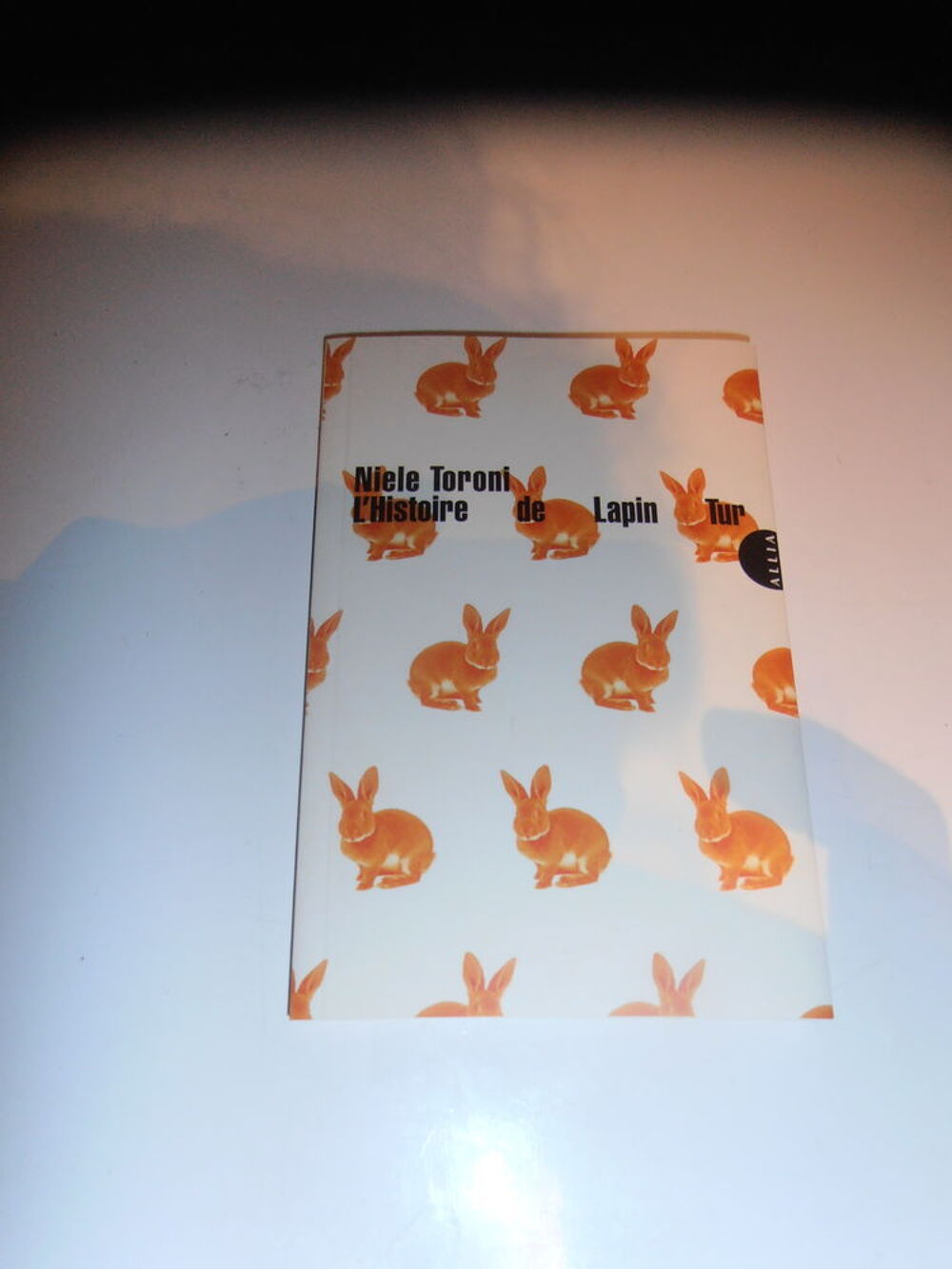 L'Histoire de Lapin Tur (88) Livres et BD