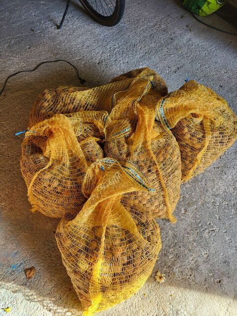 60kg de noix 100 Ribrac (24)