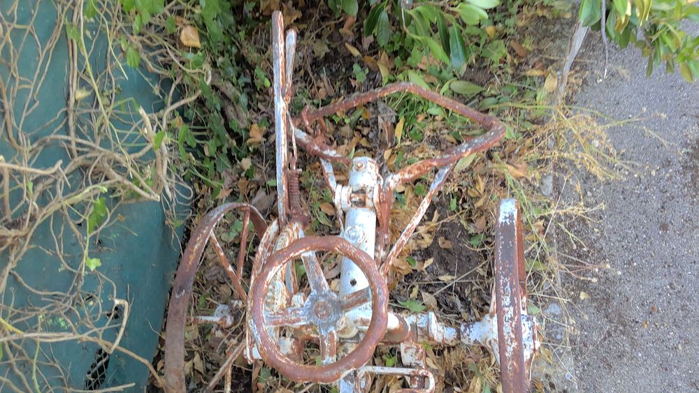 Ancienne charrue &agrave; main Jardin
