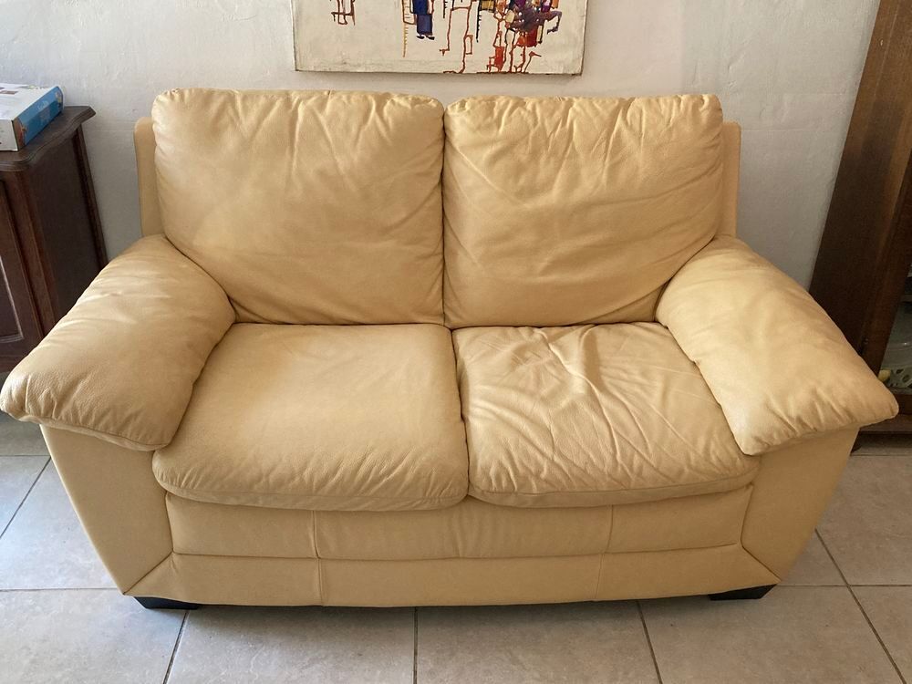 Canap&eacute; Italsofa 2 places cuir v&eacute;ritable jaune beige Meubles