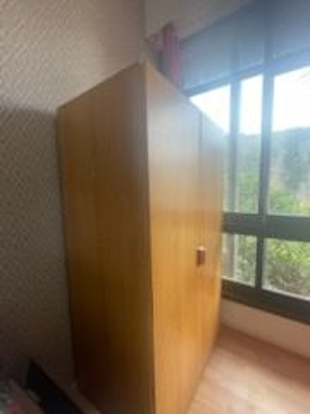 Achetez armoire / dressing occasion, annonce vente à Nantes (44) WB171264926