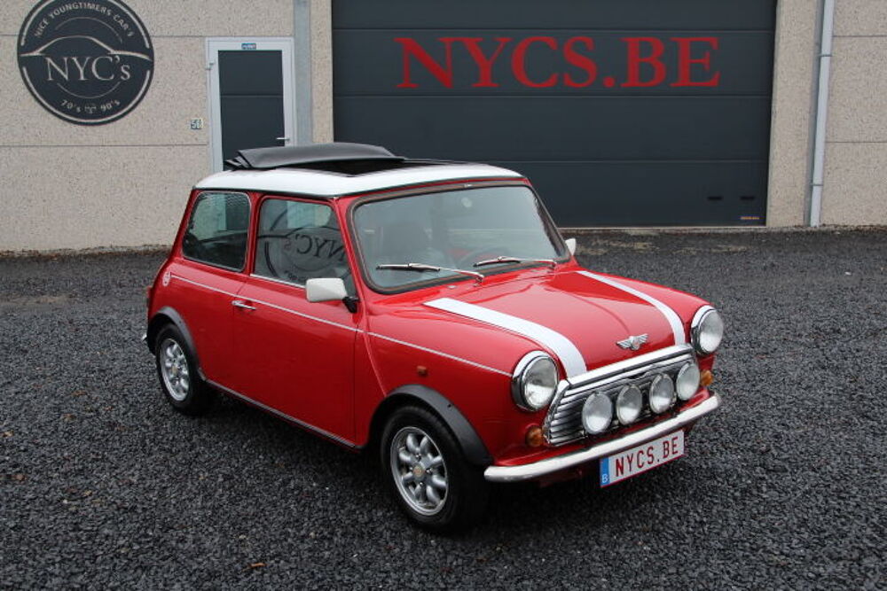 Divers Mini 1300 1993 occasion 59310 Auchy-lez-Orchies