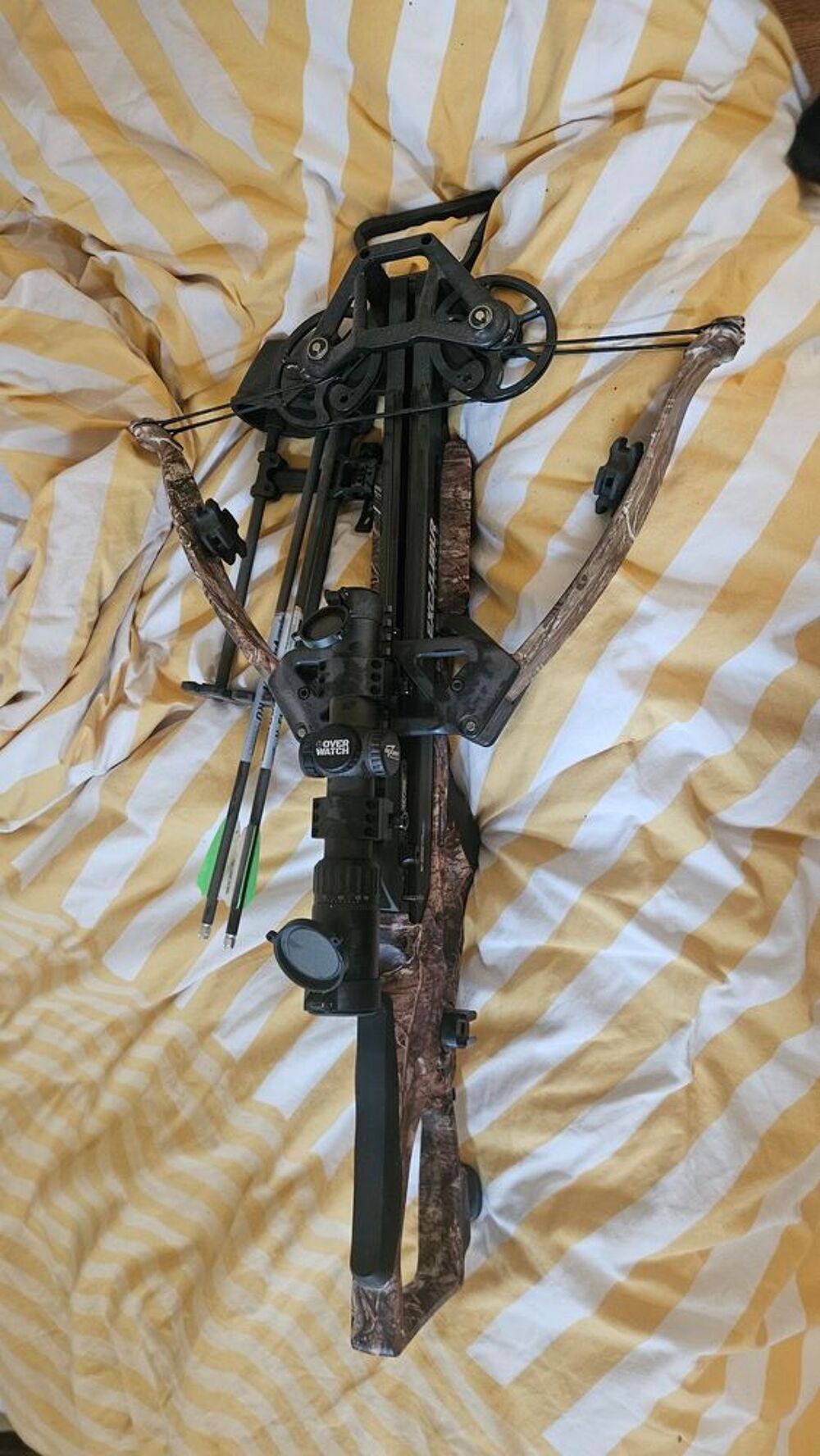 Arbal&egrave;te de chasse excalibur hybrid x Sports