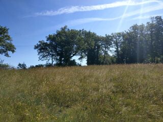  Terrain à vendre 3000 m² Le vigan