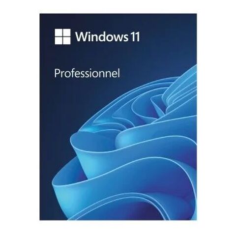 Licence Windows professionnel, 7 - 10 - 11 5 Tours (37)