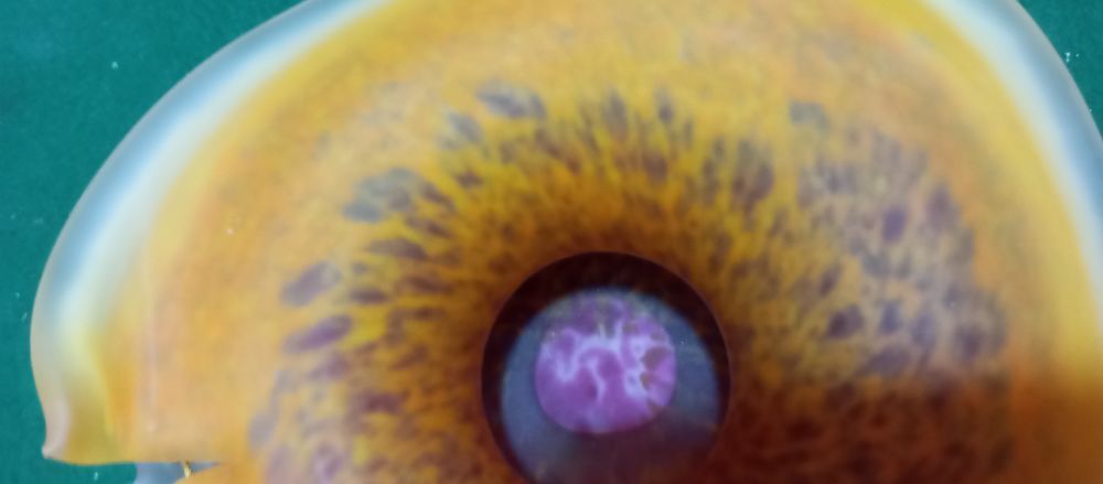 Superbe vase arum en p&acirc;te de verre sign&eacute; Décoration