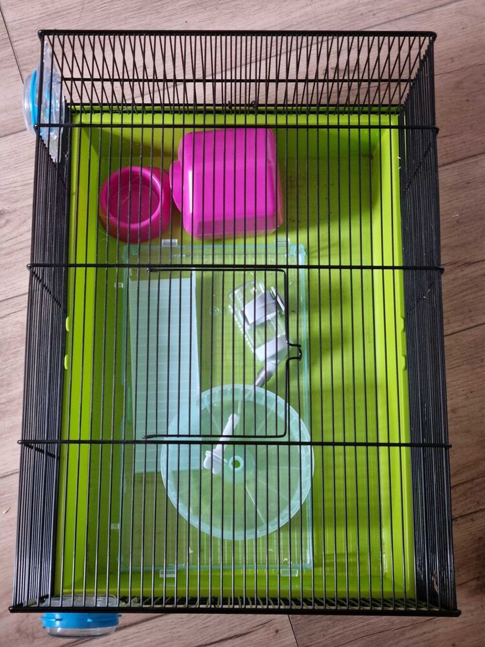 Cage pour hamster Jardin