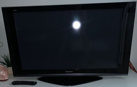 TV Panasonic écran plasma 42p 99 Ousse (64)