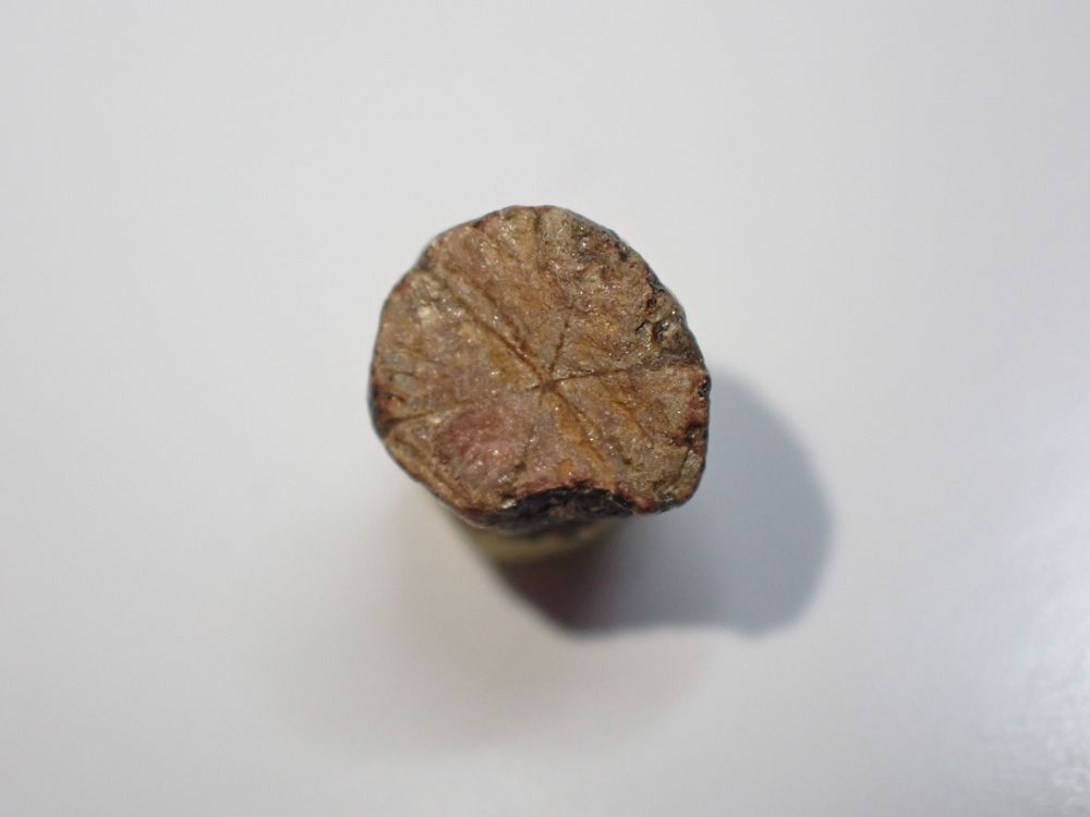 C&eacute;rasite "Fleur de Cerisier" Extr&ecirc;mement rare Yunohana Hieda 