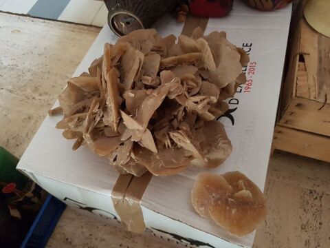 Rose des sables 
35 Mouxy (73)