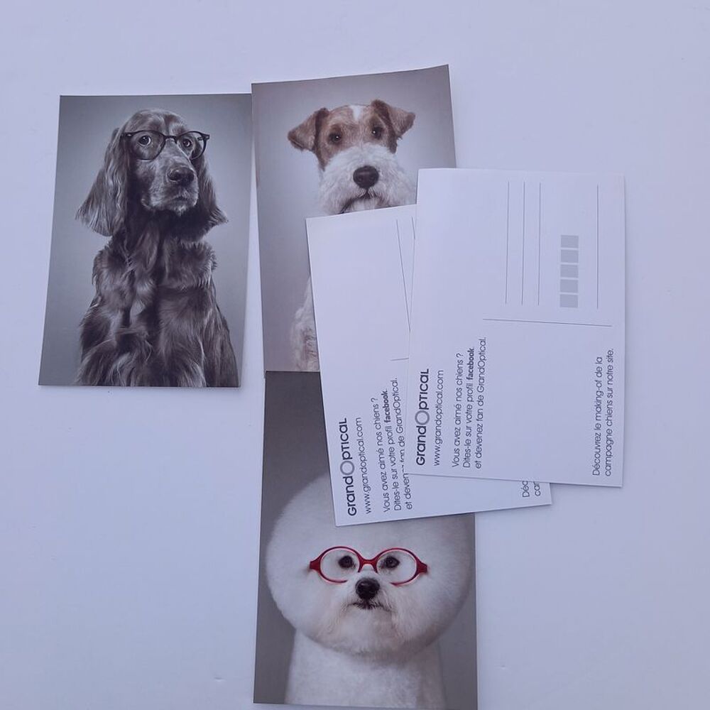 Lot de 5 cartes postales grand optical sur le th&egrave;me des chie 