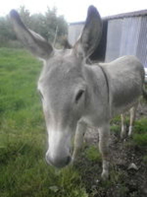   anon de provence mle  
