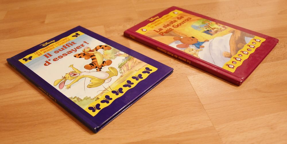 DISNEY. 2 livres Winnie l'ourson. Disney. Tr&egrave;s bon &eacute;tat Jeux / jouets