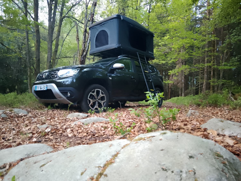 Dacia Duster Blue dCi 115 4x4 Essentiel 2020 occasion Beynes 78650