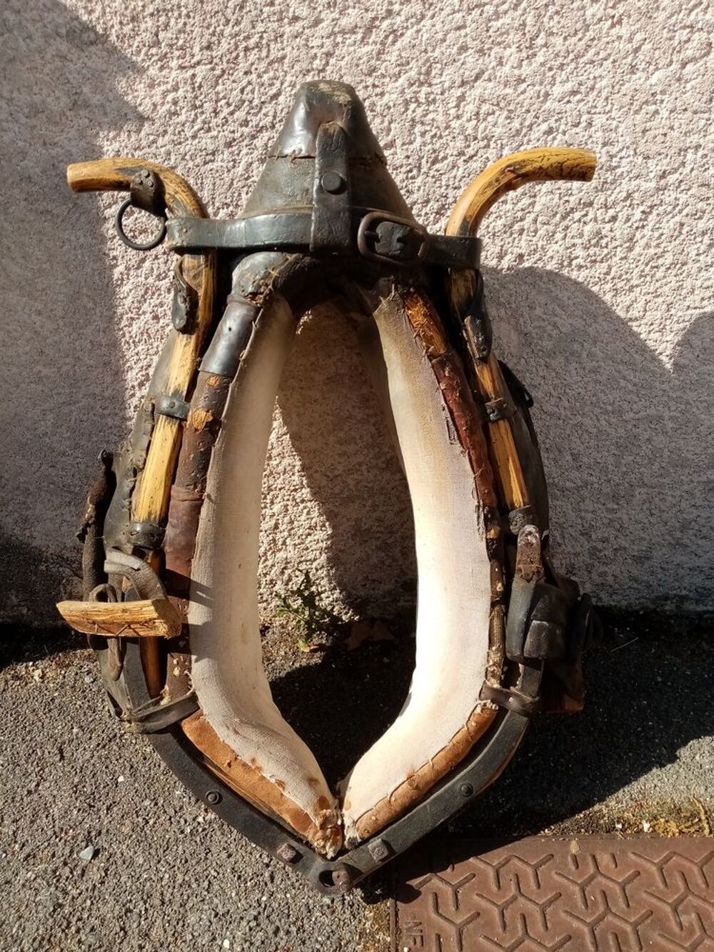 collier de cheval Décoration