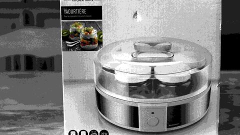 Yaourti�re. 15 Thionville (57)