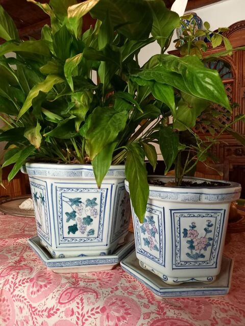 Pots chinois d'origine en cramique bleue
70 Cavaillon (84)