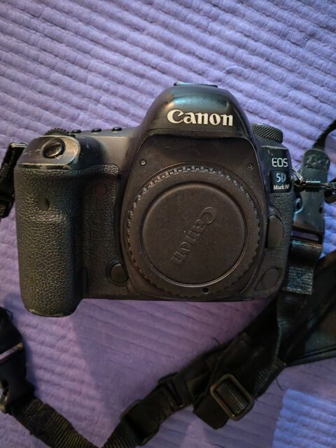 Canon 5d Mark IV 590 L'Ha�-les-Roses (94)