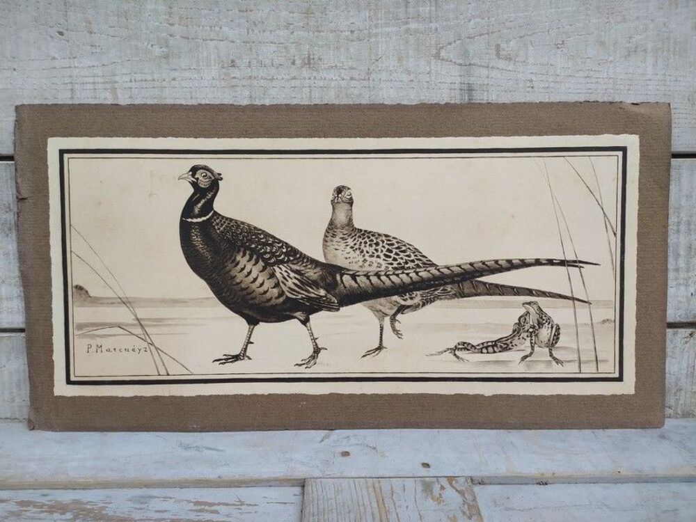 Paul MARCUEYZ Lithographie Faisans et Grenouilles Chasse

