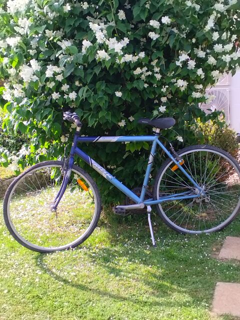 VYT 50 La Tombe (77)