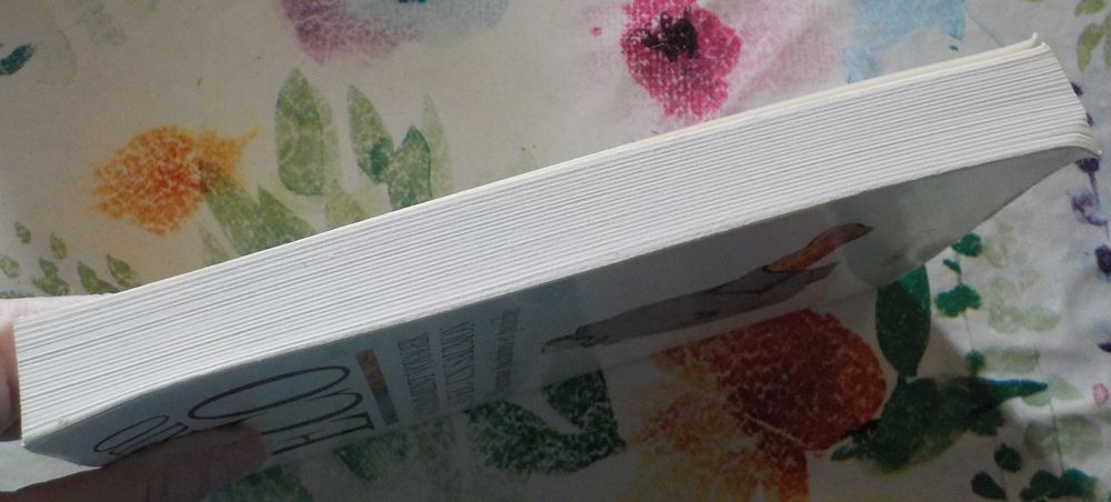 COMMENT VOYAGER AVEC UN SAUMON Nouveaux pastiches et postich Livres et BD