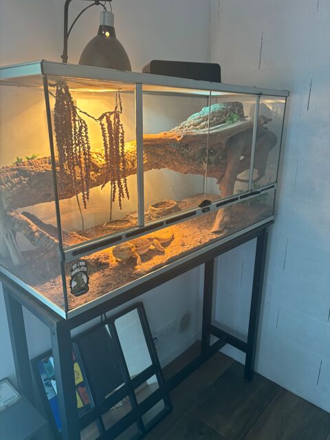 Pogona + accessoires + meuble 550 13710 Fuveau