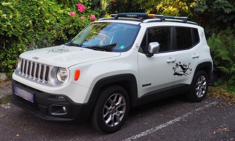 Jeep Renegade 1.6 I MultiJet S&S 120 ch Limited 2015 occasion Lyon 69003