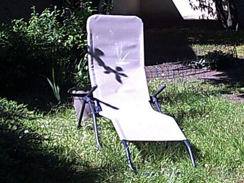 Bains de soleil neufs 16 euros pice 16 Villemomble (93)