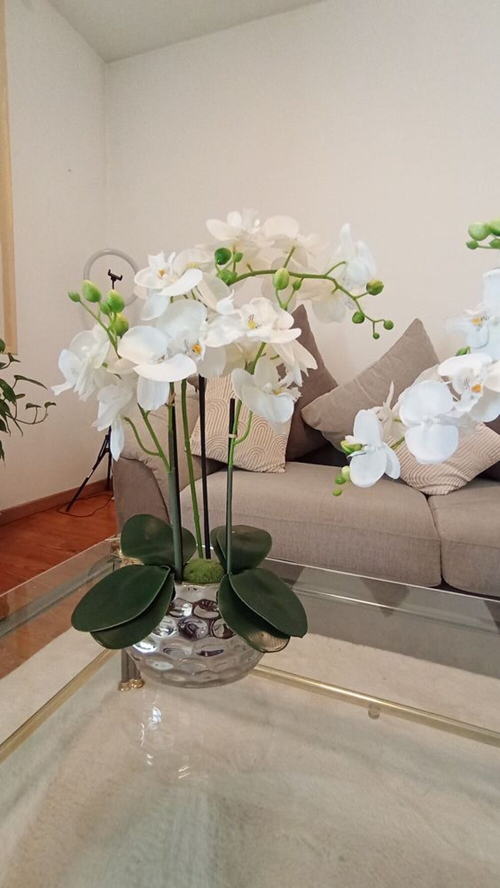Orchid&eacute;e en plastique Décoration