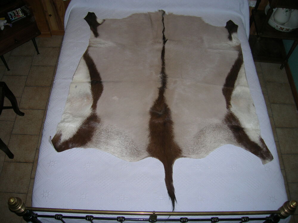 
peau de vache origine pyrenn&eacute;es -
peaux antilopes Dcoration
