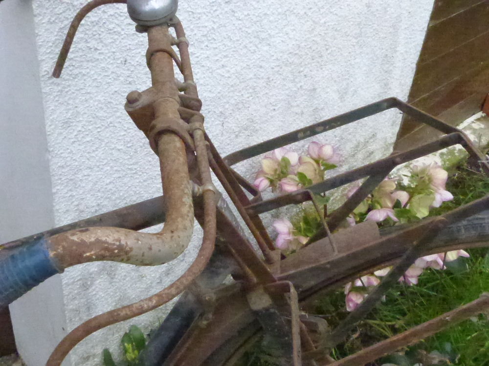 V&eacute;lo ancien 1920 collection Bricolage