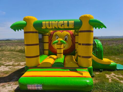 chateau gonflable thème jungle anniversaire... 0 13127 Vitrolles