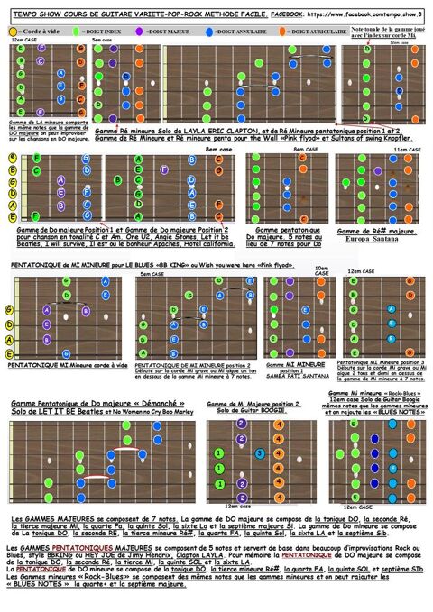 COURS DE GUITARE Pop Rock Blues Variété salle à Solliès-Pont 0 83210 Sollis-pont