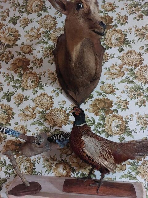 Divers d�corations murales  50 Bordeaux (33)