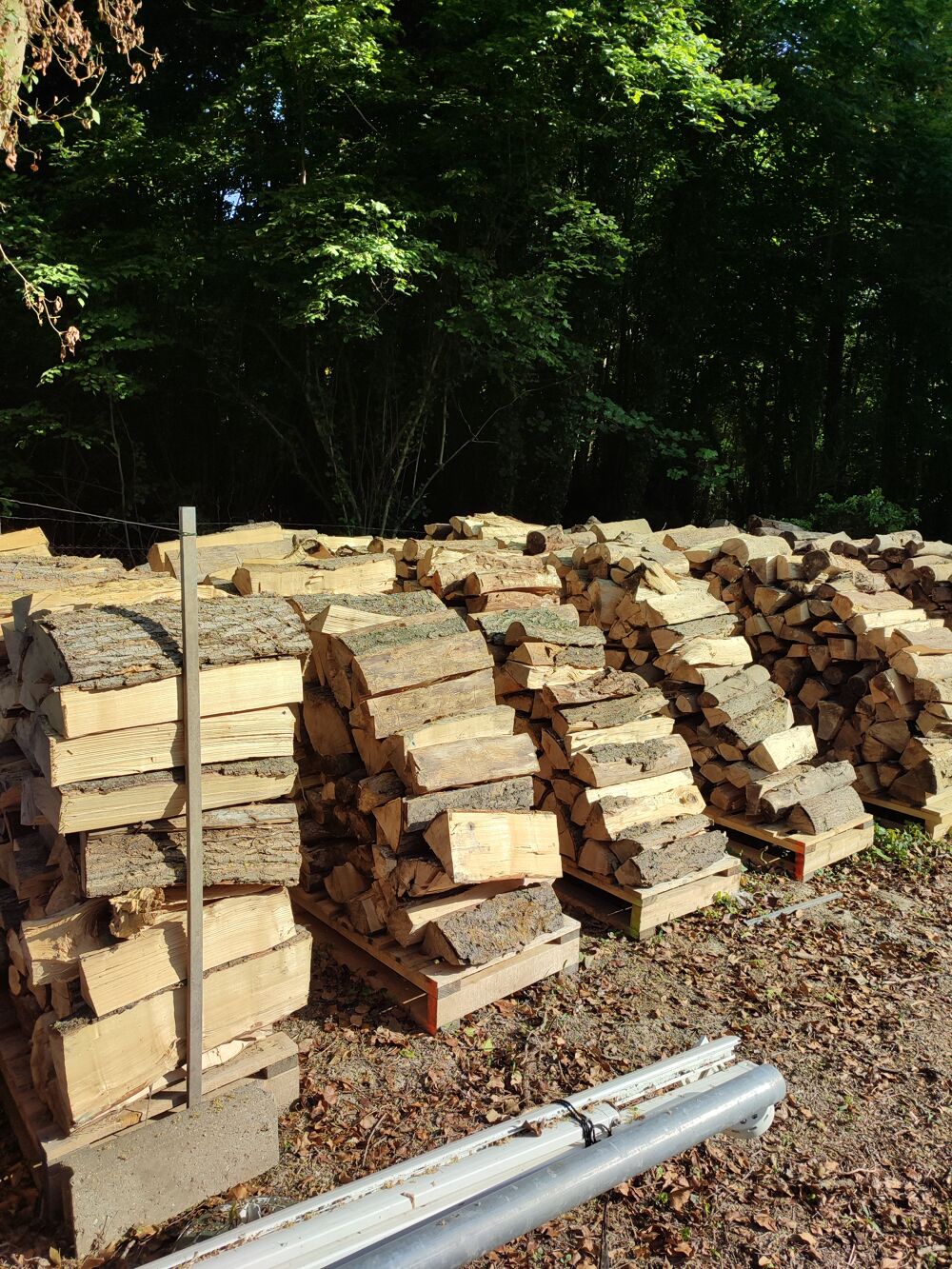 Bois de chauffage Jardin