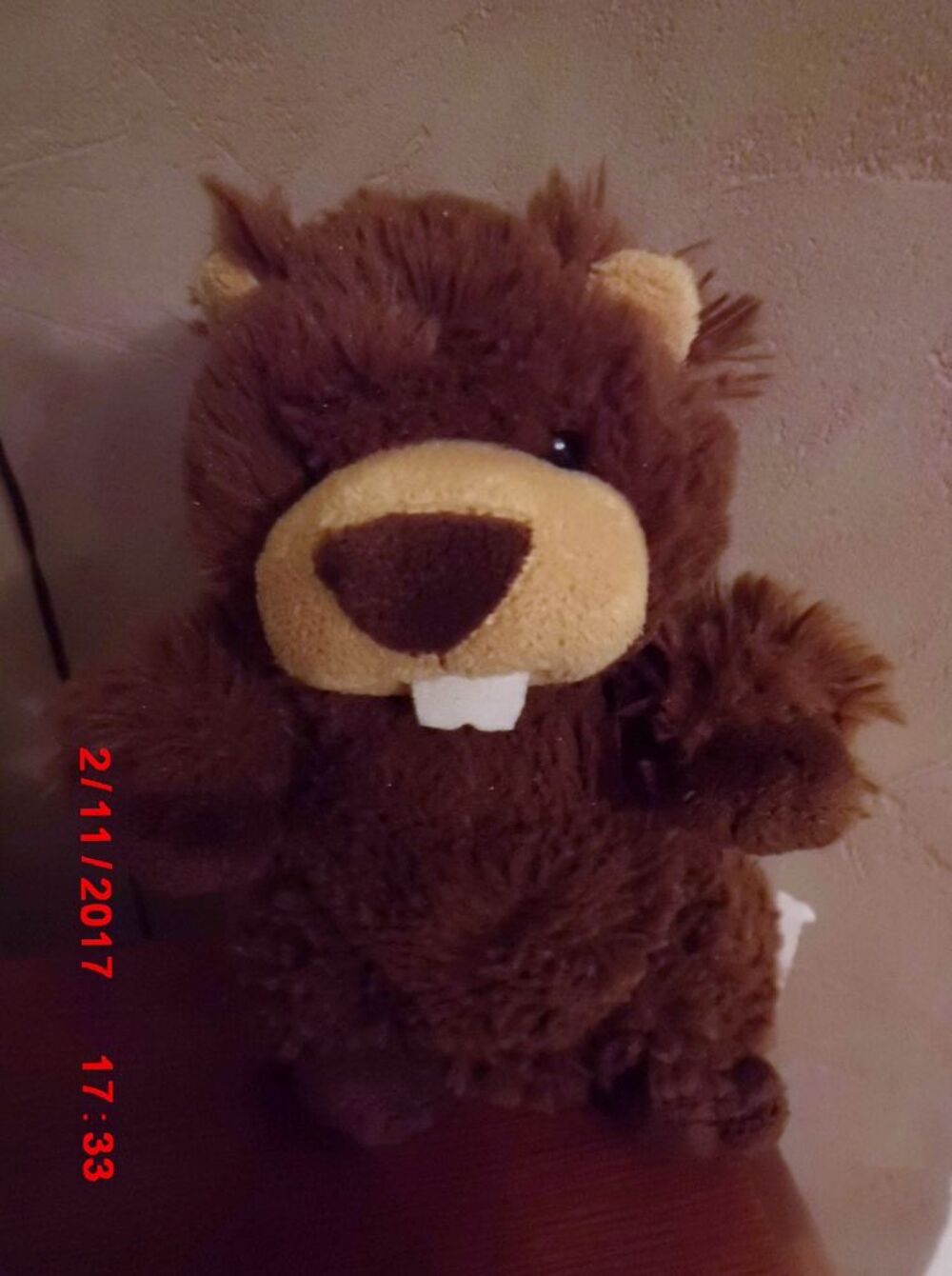 MARMOTTE GIPSY Jeux / jouets