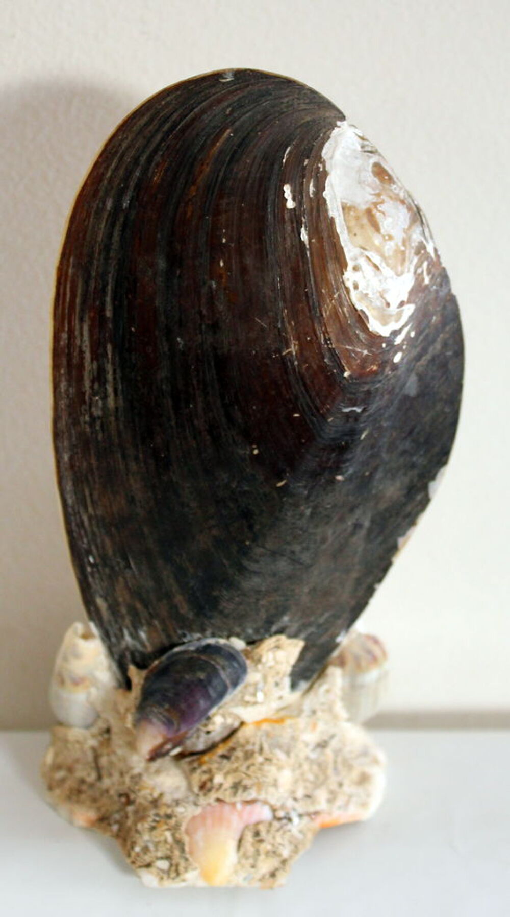 Terre Cuite L'ISLE D'ADAM Souvenir Bord de Mer encrier 