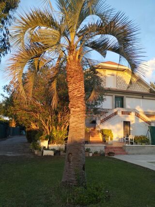 Location  Appartement 