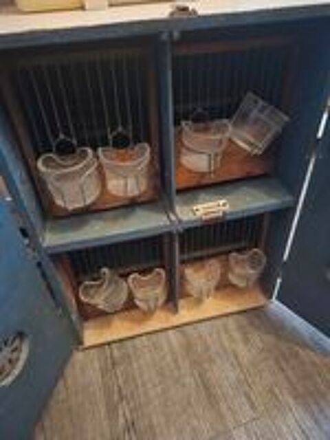   cages a oiseaux plus de transports 