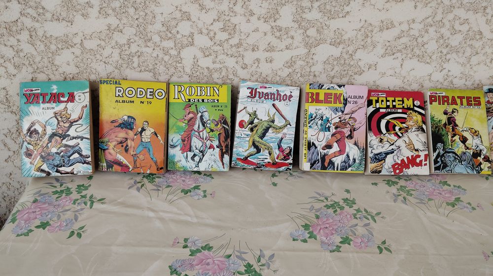 Divers 46 Albums Bandes Dessin&eacute;es Livres et BD
