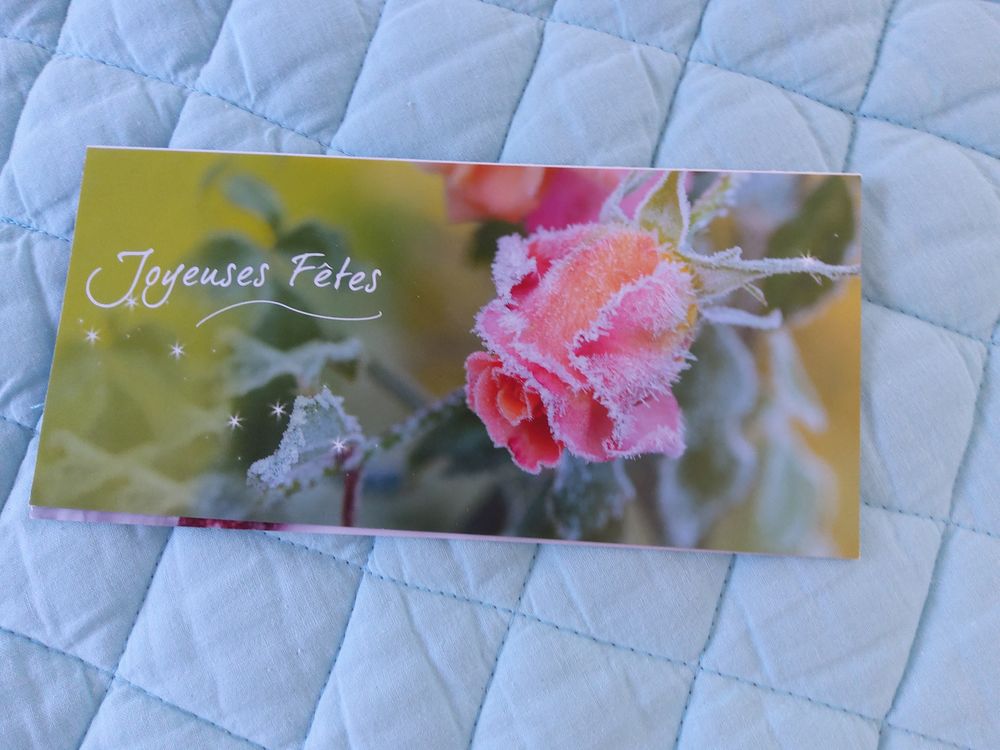 CARTES "Joyeuses F&ecirc;tes" 